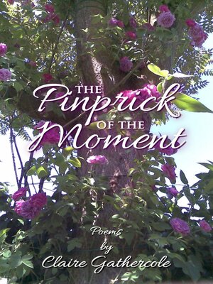 cover image of The Pinprick of the Moment